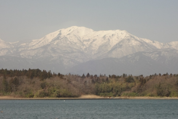 太宰治と佐渡　(中)