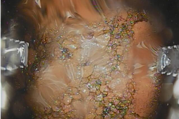 本当に燃料デブリ取り出しは可能なのか?~2号機内部調査で分かったこと~