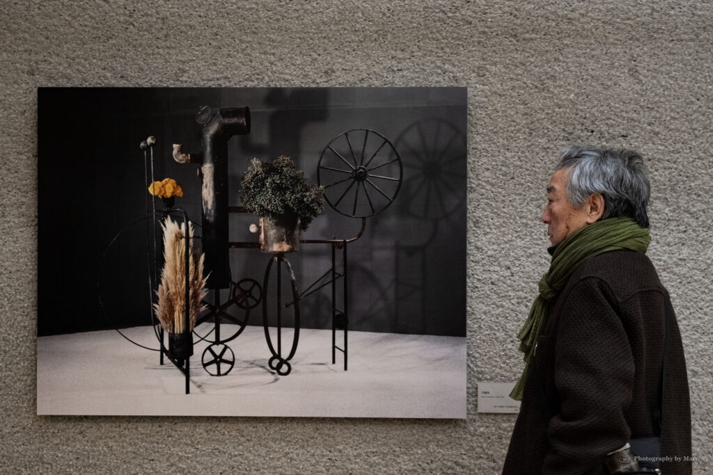 文化・芸術批評